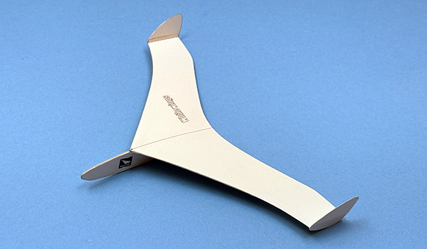 Tailless Plane