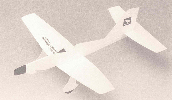 Light Plane 303 Bluebird