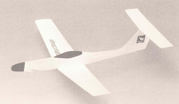 Light Plane 304 Thrasher