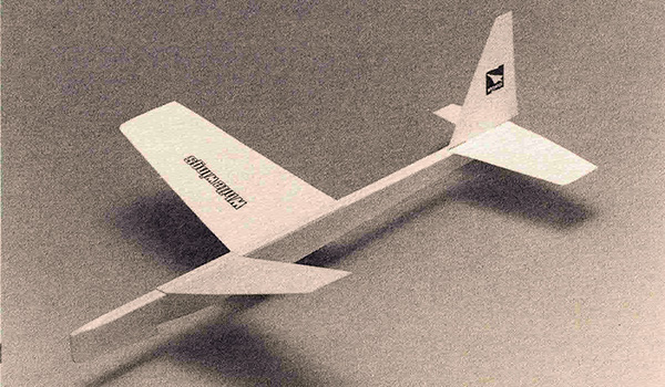 Asymmetrical Wing Plane