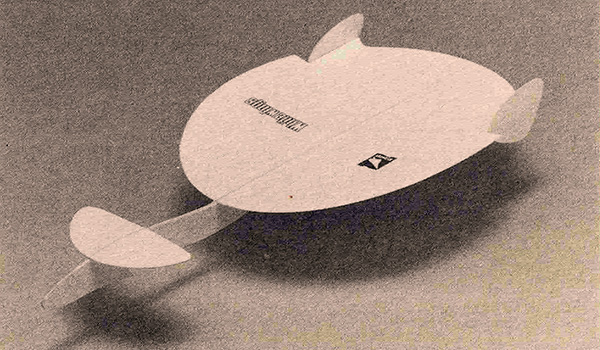 Circular Wing Canard