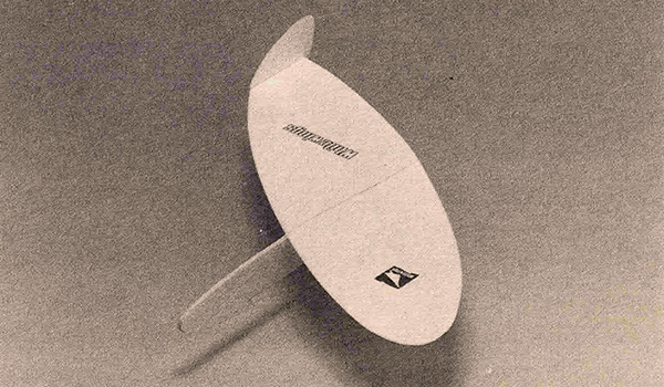 Oblique Wing Plane