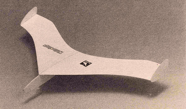 Tailless Plane
