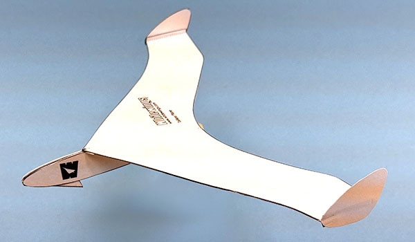 Tailless Plane