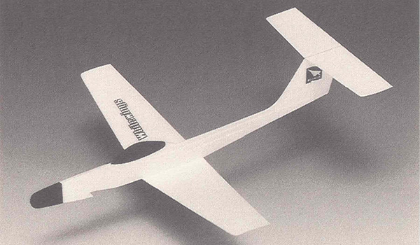 Light Plane 313 T-Tail