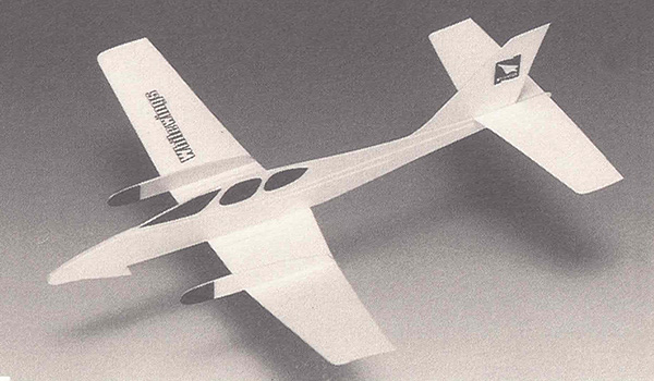 Light Plane 316 Twin-Engine