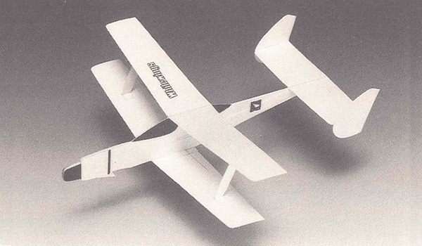 Light Plane 317 Negative Stagger Bi-Plane