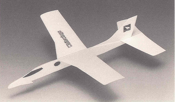 Light Plane 318 Business Jet