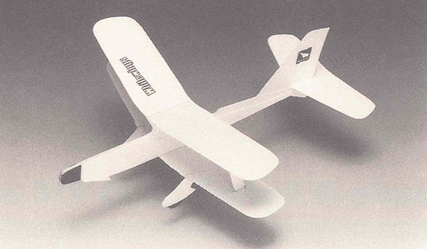 Light Plane 319 Open Cockpit Bi-Plane