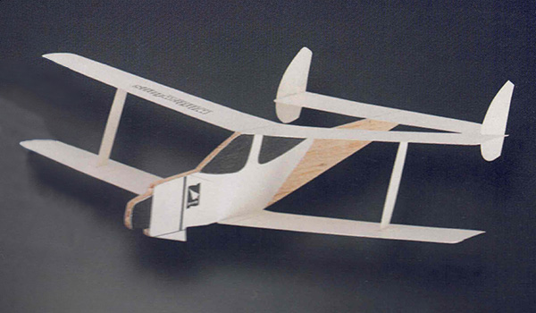 Negative Stagger BiPlane