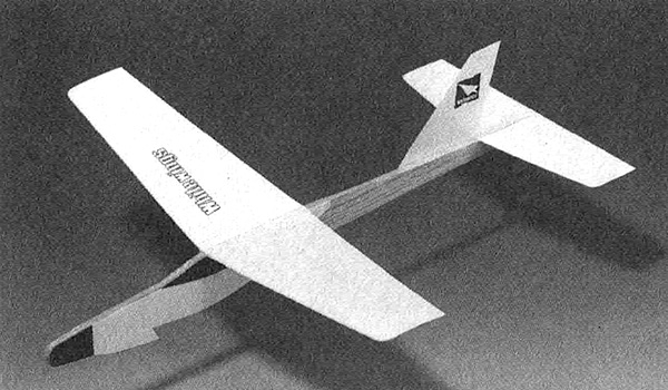 Light Plane 307
