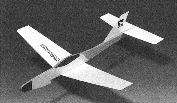 Light Plane 308