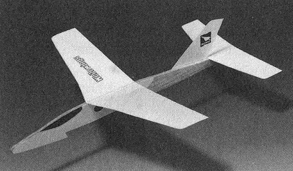 Light Plane 309