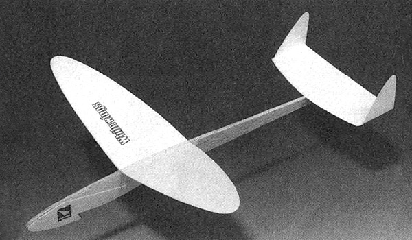 Racer 536 Swallow