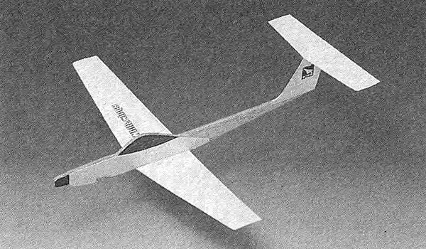 Light Plane 310 Motor Glider
