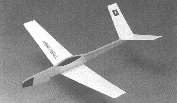 Light Plane 321 V-Tail
