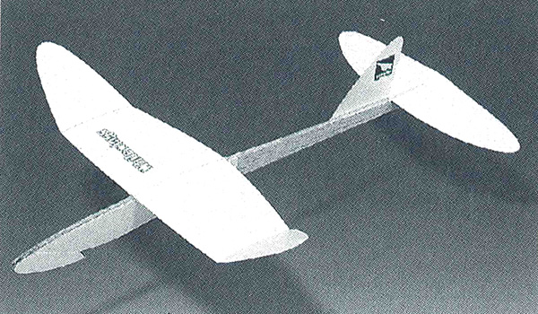 Racer 537 Gull