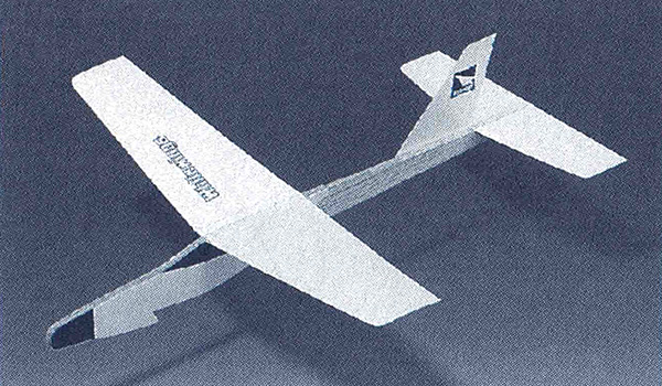 Light Plane 307