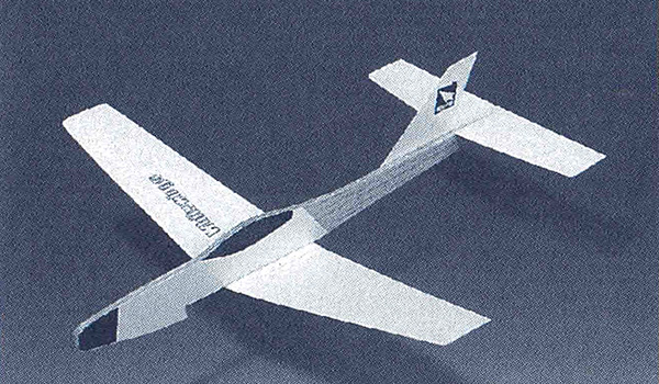 Light Plane 308