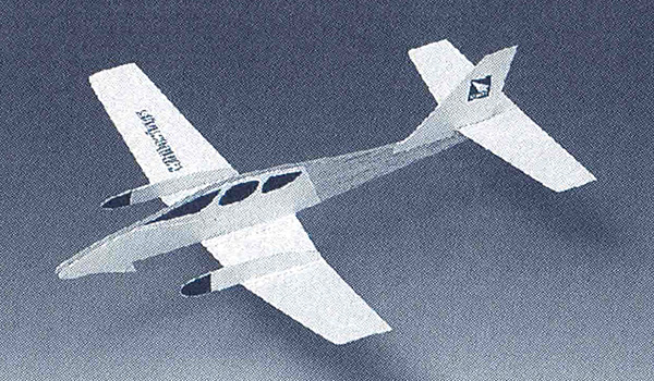 Light Plane 311 Twin Engine