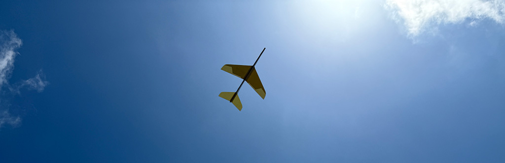Whitewings paper airplane silhouette