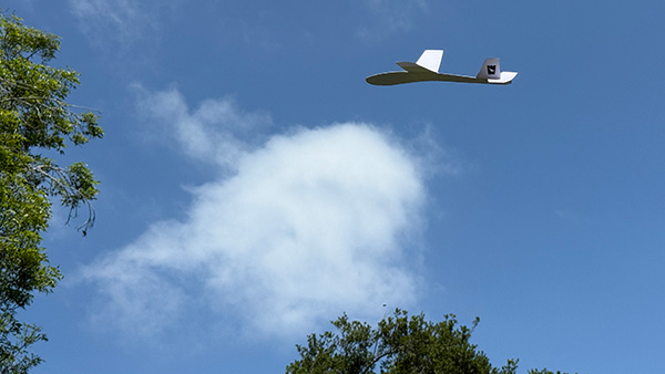 Whitewings Flight Trimming Instructions